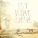 Good Morning Sunshine. Horse Photo. Fine Art..