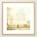 Good Morning Sunshine. Horse Photo. Fine Art..