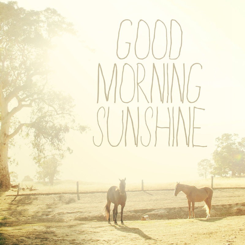 Good Morning Sunshine. Horse Photo. Fine Art Photography. Typography. Shabby Chic. Size 10"x10"